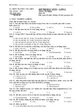 Đề thi học kì II  Lớp 11 môn Tin Học
